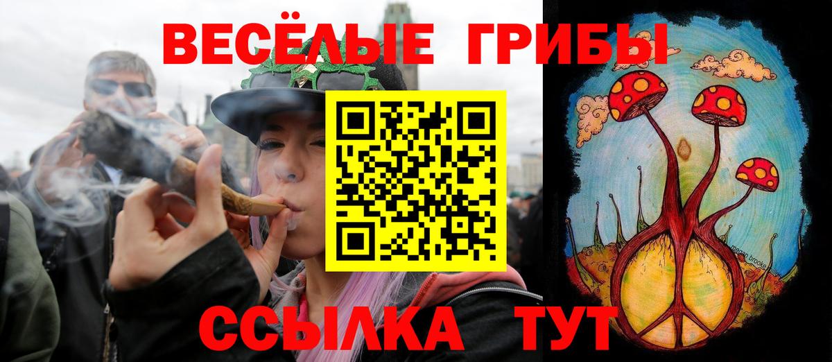 Тверь  Галлюциногенные грибы ЛСД  Вход с VPN 